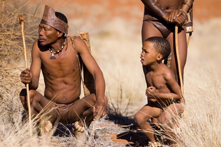 khoisan bushmen