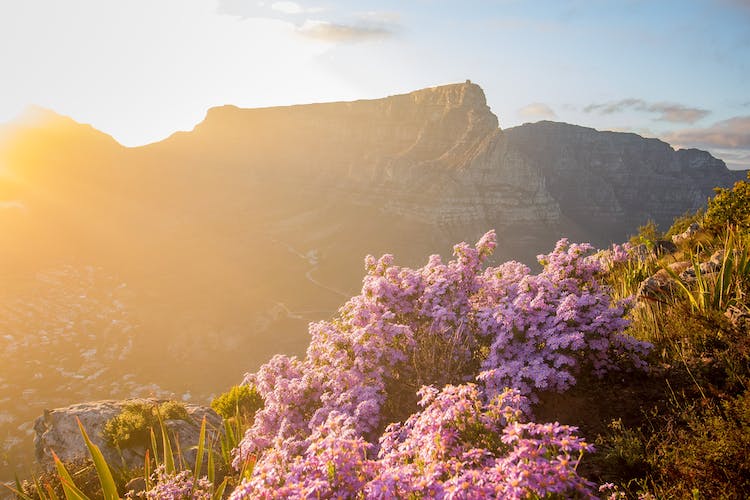 table mountain from lions head